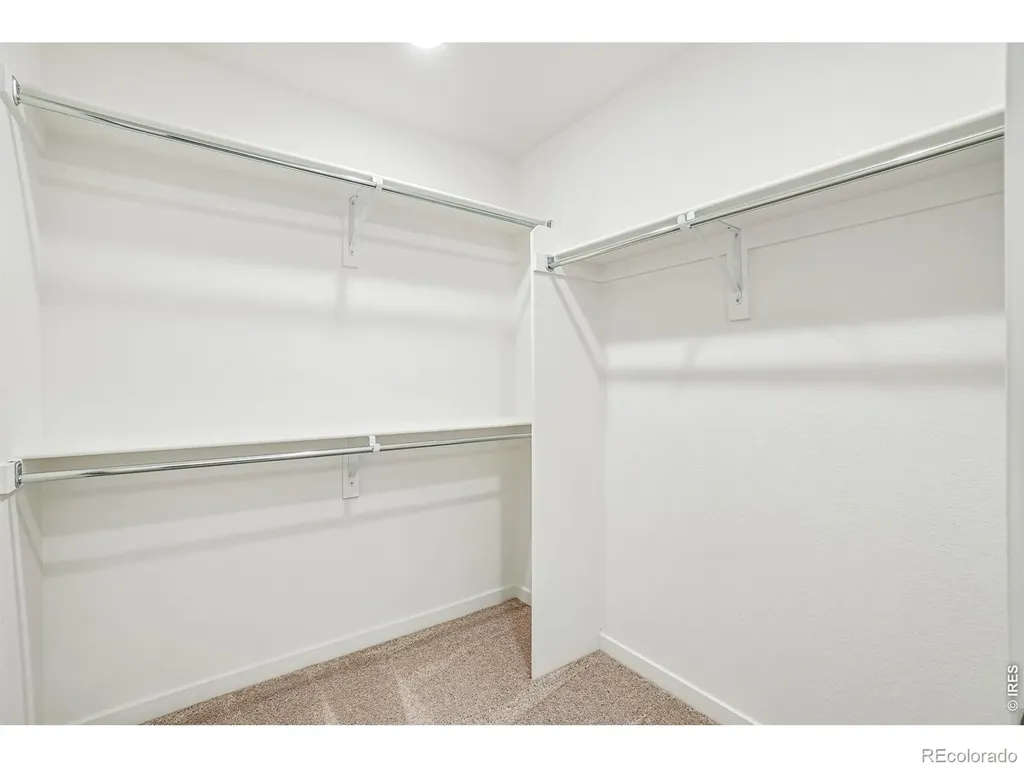 4516 Burl Street Timnath CO 80547