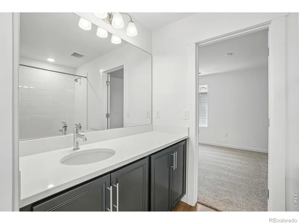 4516 Burl Street Timnath CO 80547