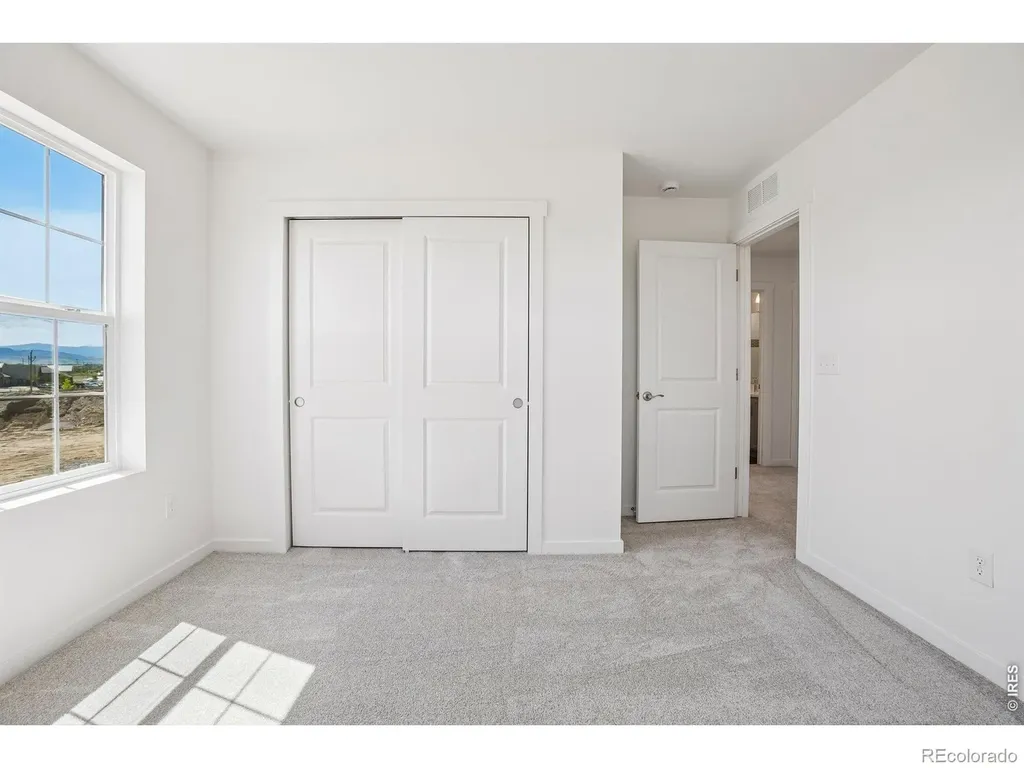 4529 Parkline Street Timnath CO 80547