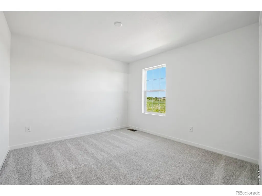 4529 Parkline Street Timnath CO 80547