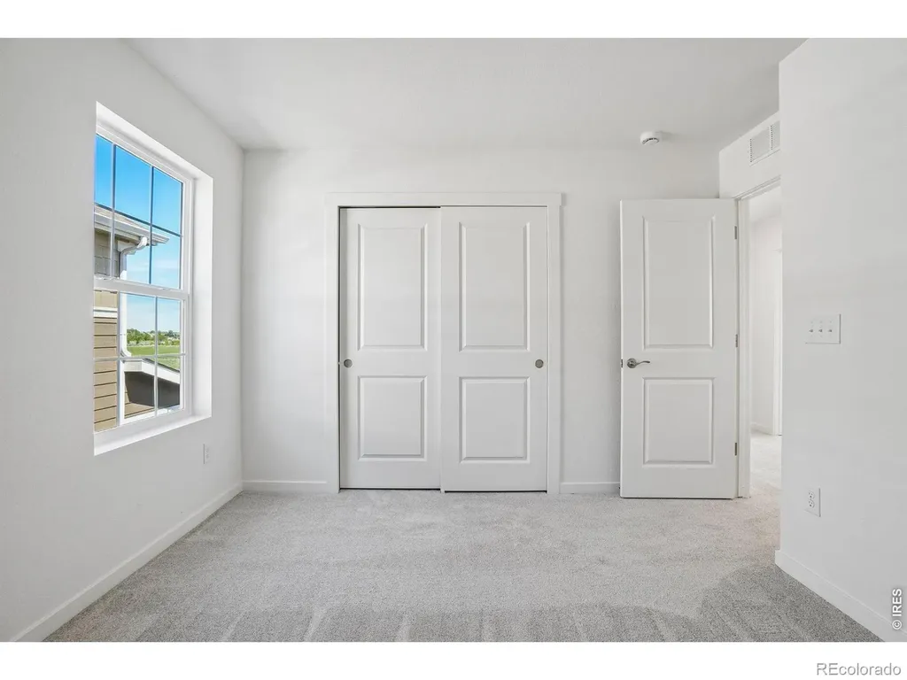4529 Parkline Street Timnath CO 80547