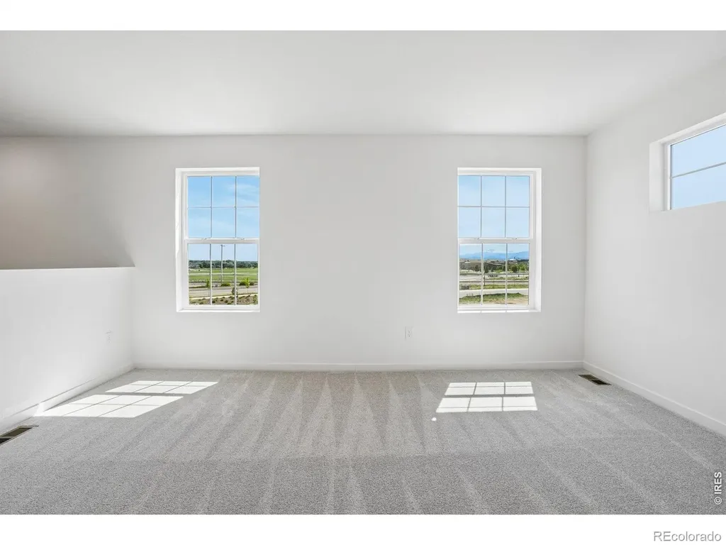 4529 Parkline Street Timnath CO 80547