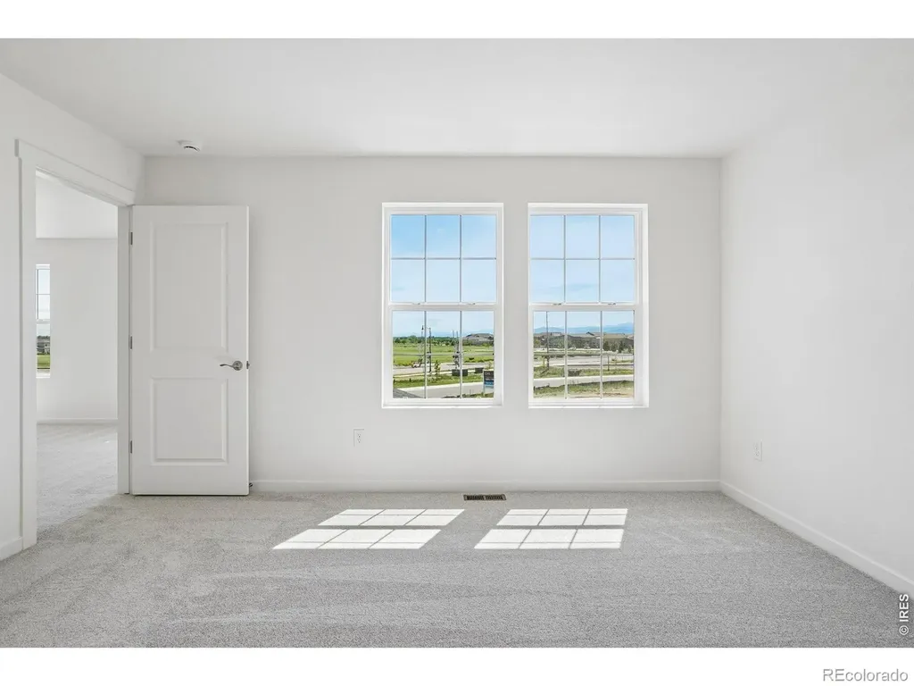 4529 Parkline Street Timnath CO 80547