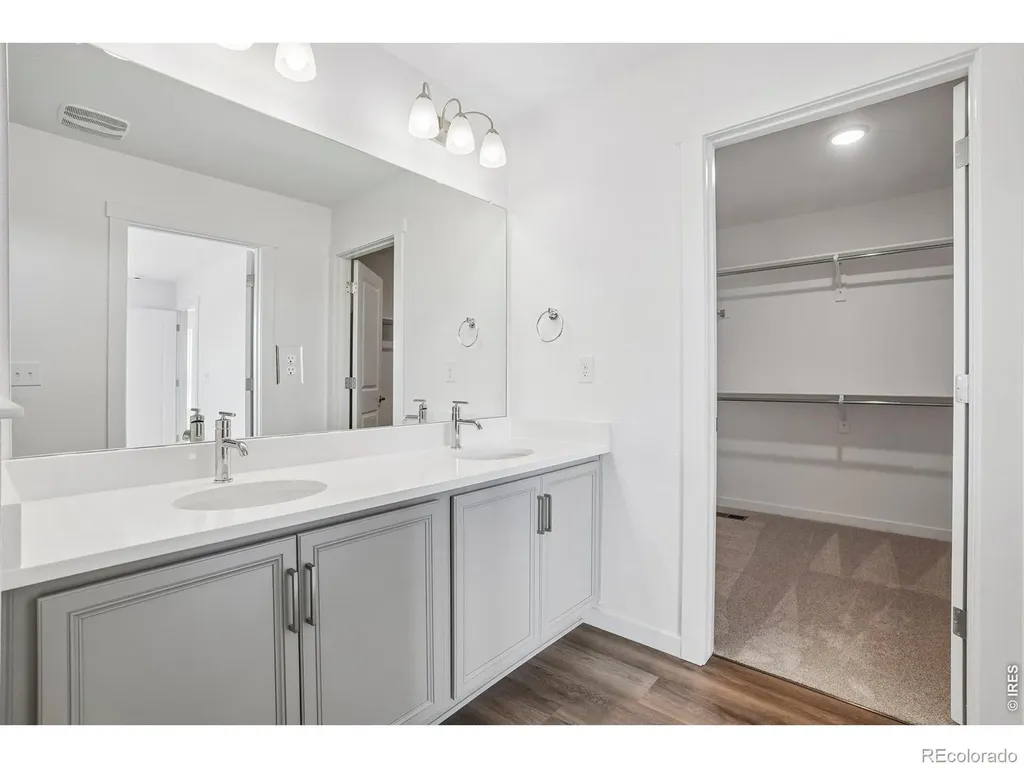 4529 Parkline Street Timnath CO 80547