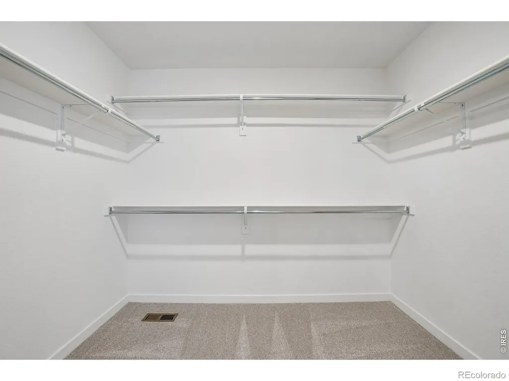 4529 Parkline Street Timnath CO 80547