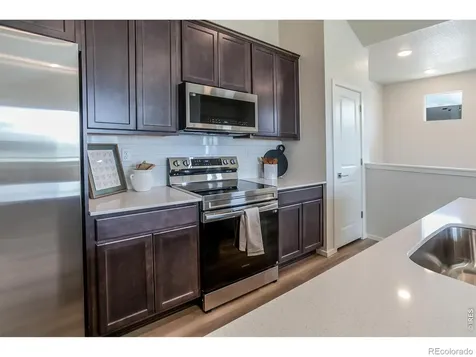1811 Bounty Drive Windsor CO 80550
