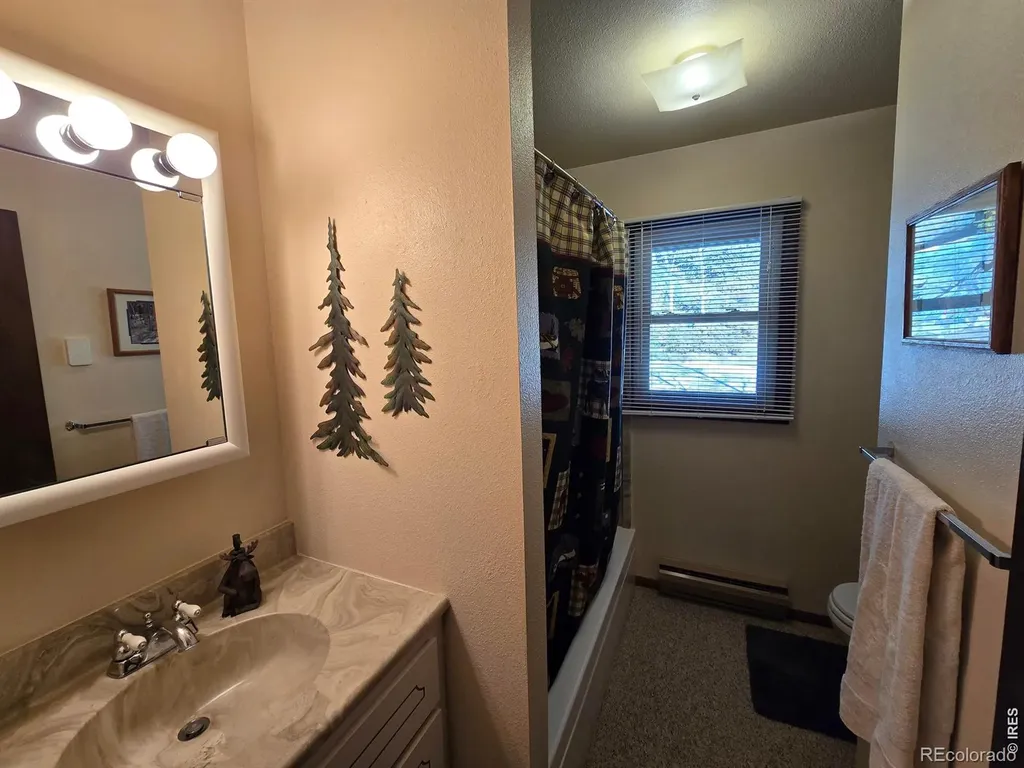 660 Jicarilla Trail Red Feather Lakes CO 80545