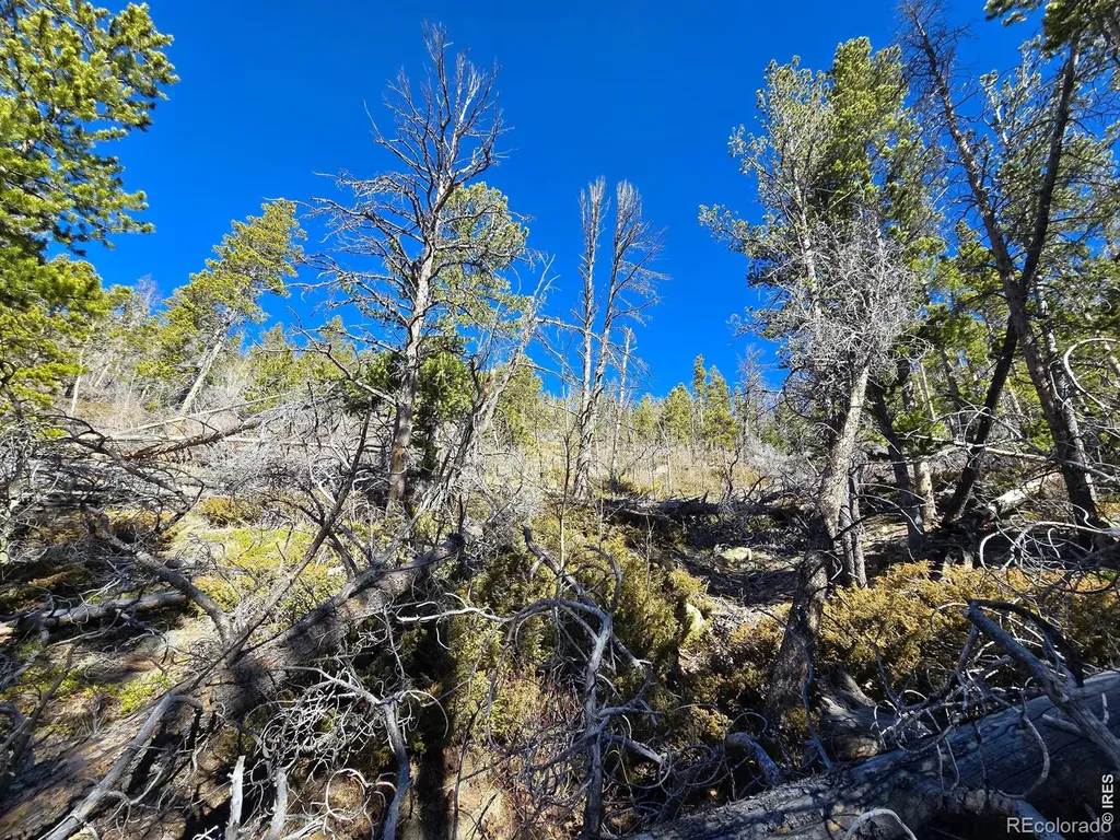 660 Jicarilla Trail Red Feather Lakes CO 80545