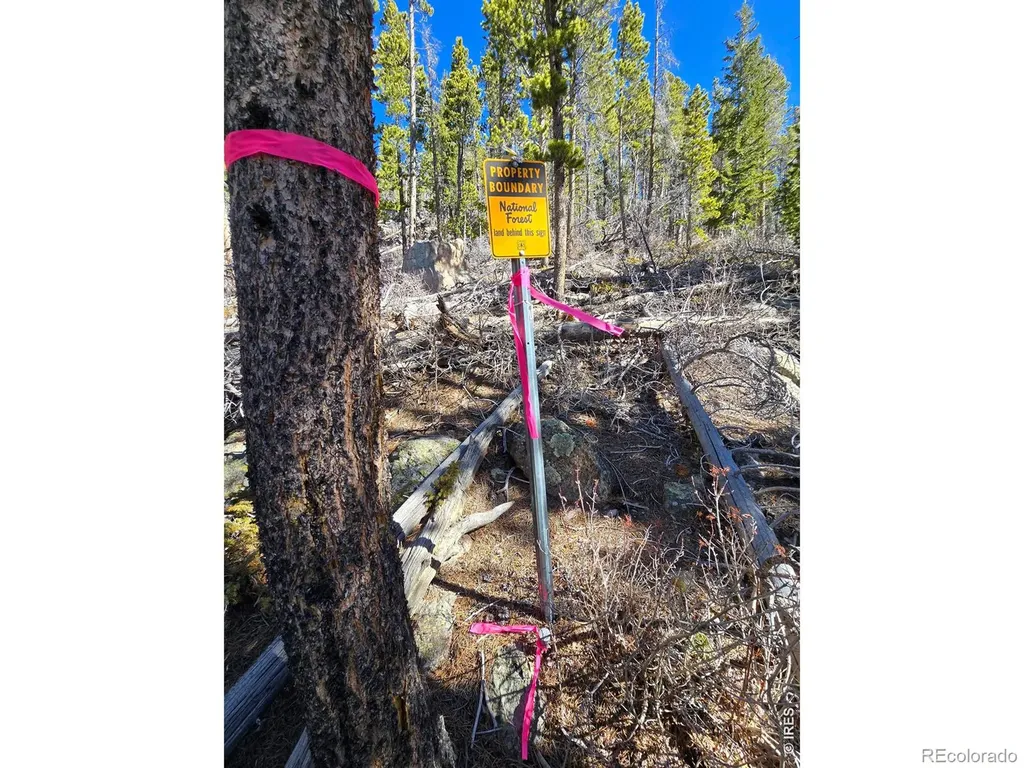 660 Jicarilla Trail Red Feather Lakes CO 80545