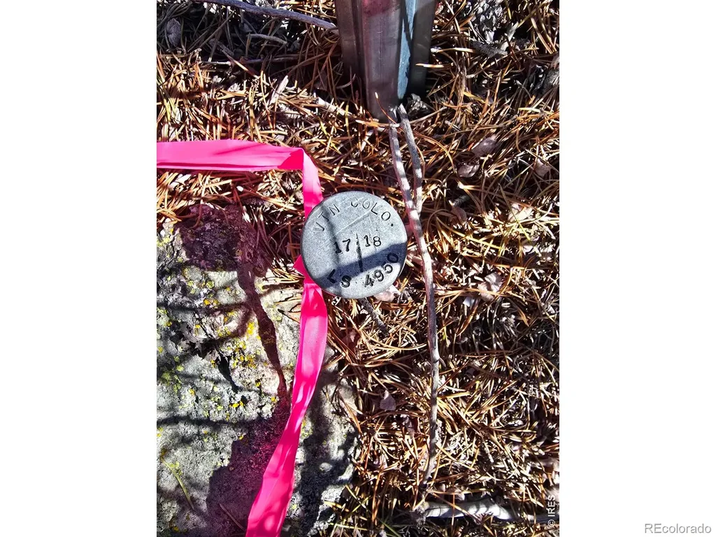 660 Jicarilla Trail Red Feather Lakes CO 80545