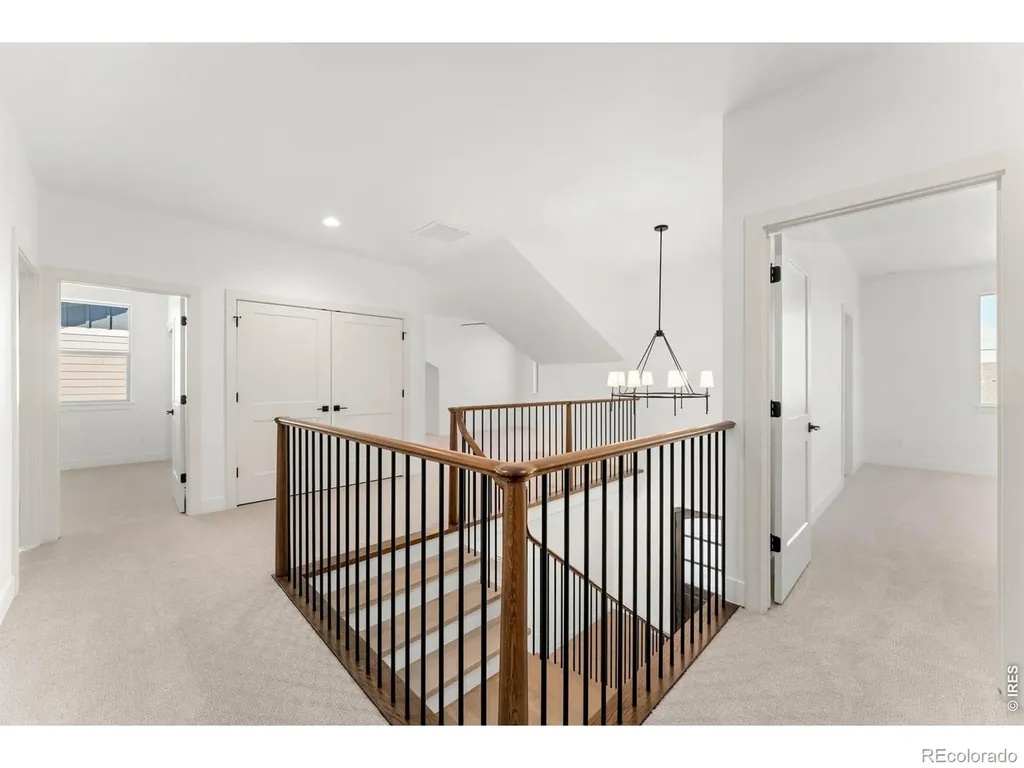 832 Clydesdale Drive Windsor CO 80550