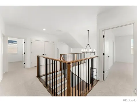 832 Clydesdale Drive Windsor CO 80550