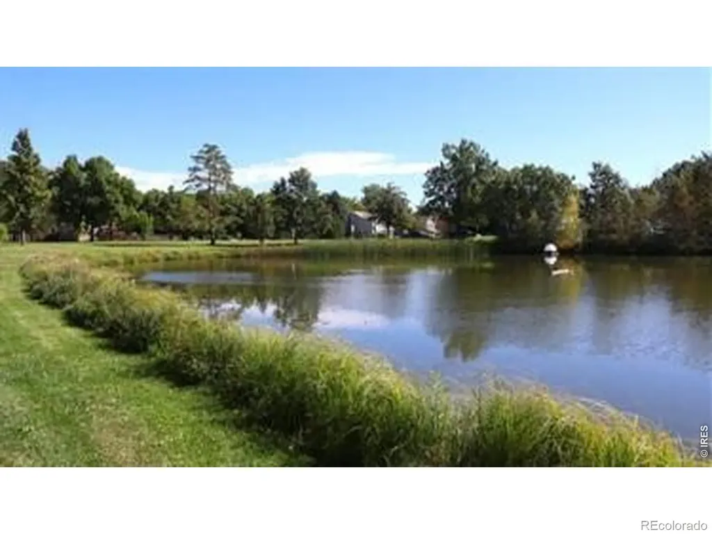 4526 Hibiscus Street Fort Collins CO 80526