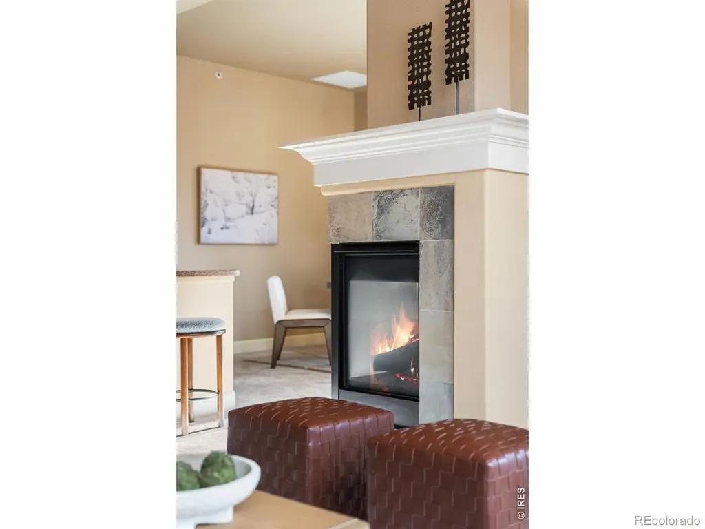 1379 Charles Drive Longmont CO 80503