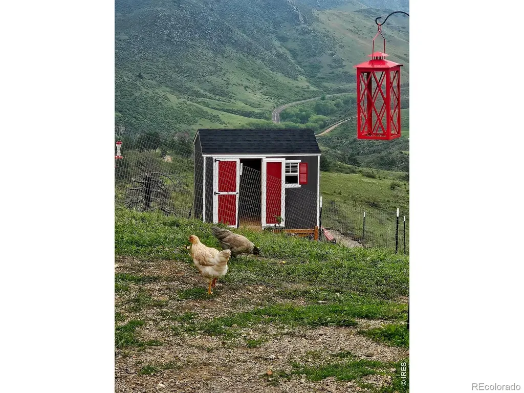 957 Stringtown Gulch Road Bellvue CO 80512