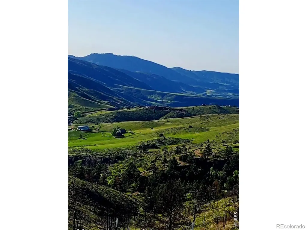 957 Stringtown Gulch Road Bellvue CO 80512