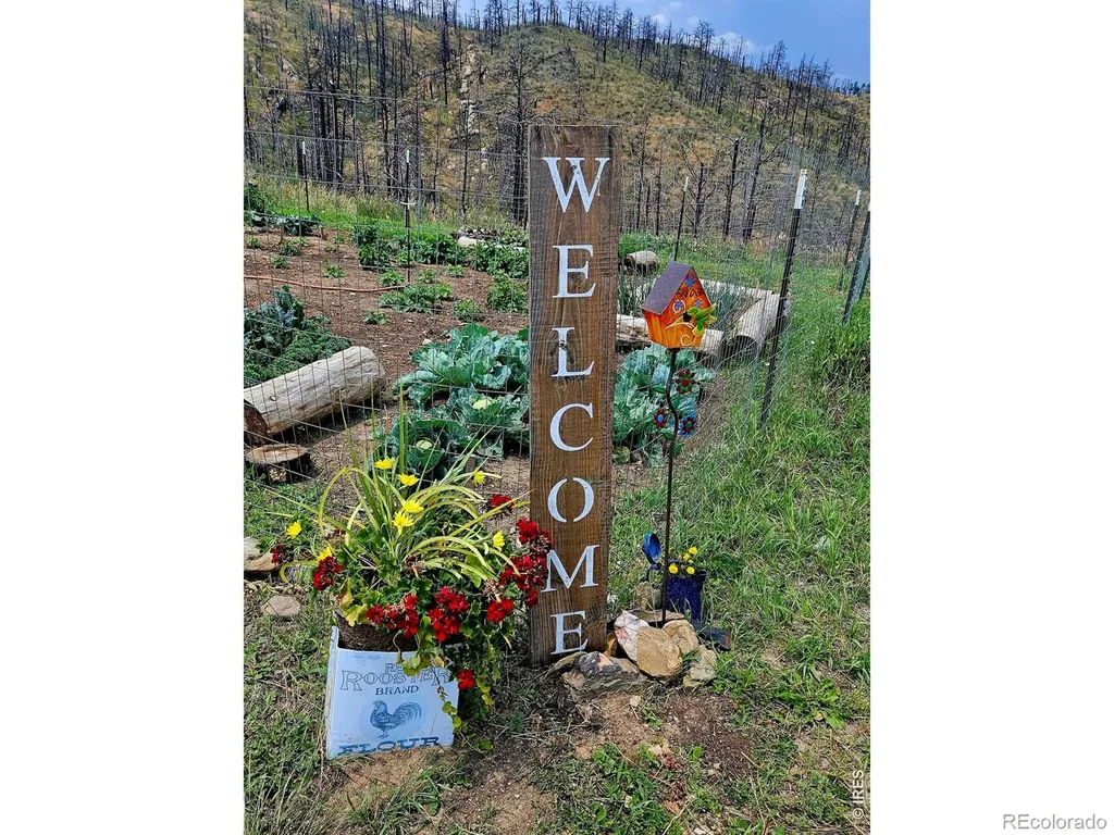 957 Stringtown Gulch Road Bellvue CO 80512