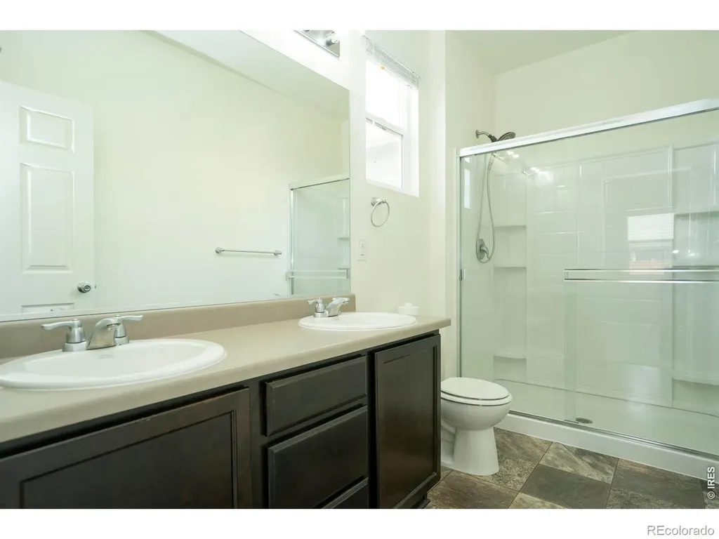 3610 Sunrose Street Wellington CO 80549