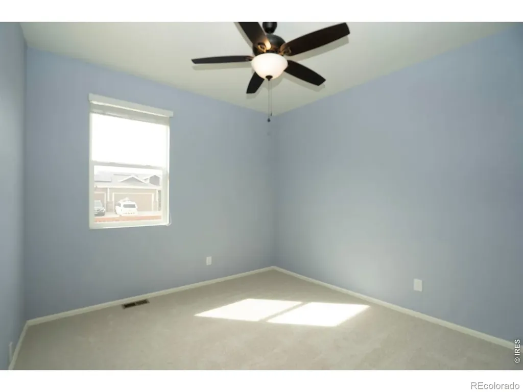 3610 Sunrose Street Wellington CO 80549