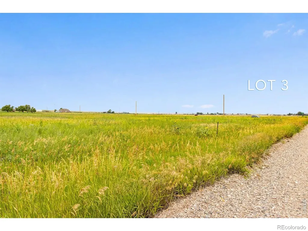 46 Tbd County Road Carr CO 80612