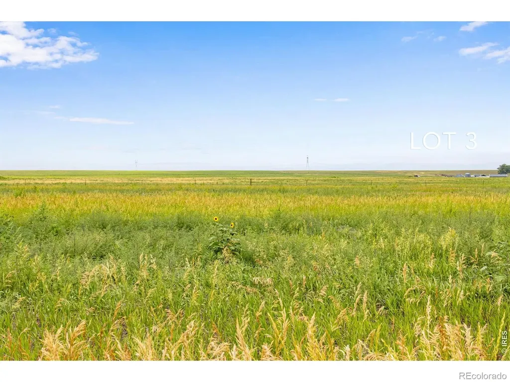 46 Tbd County Road Carr CO 80612