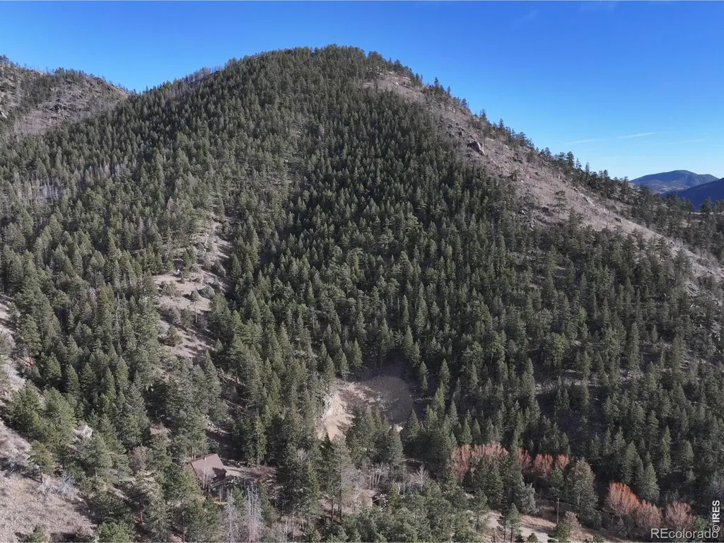 416 Black Creek Drive Glen Haven CO 80532