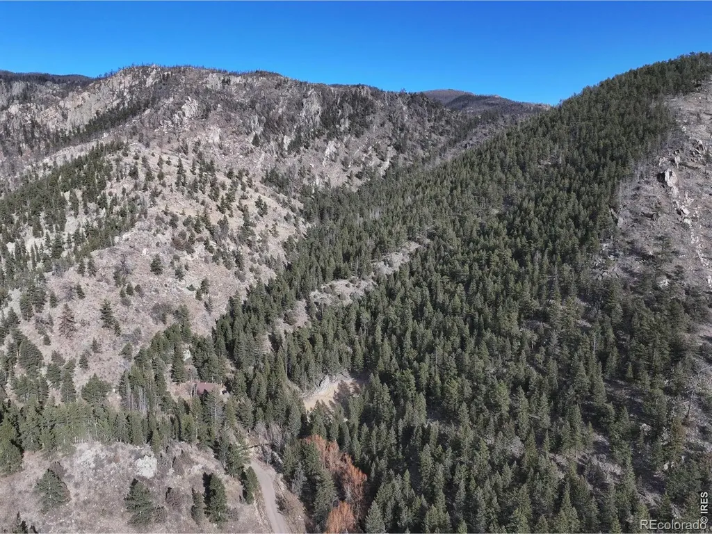 416 Black Creek Drive Glen Haven CO 80532