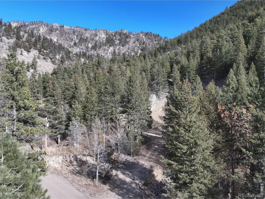 416 Black Creek Drive Glen Haven CO 80532