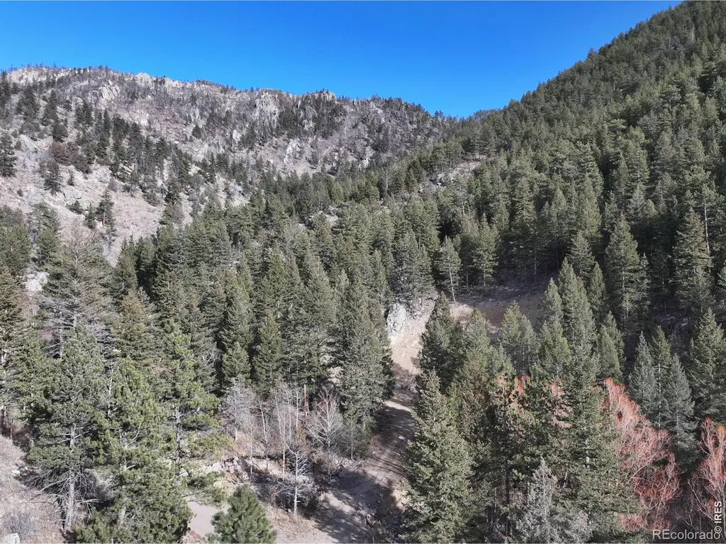 416 Black Creek Drive Glen Haven CO 80532