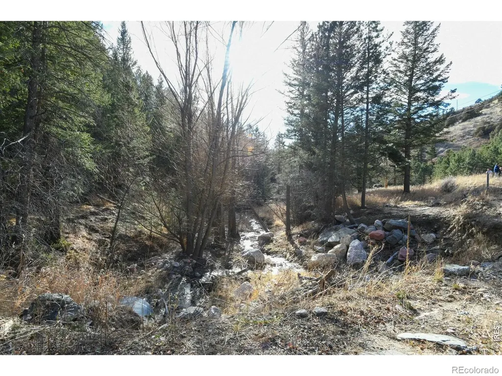 416 Black Creek Drive Glen Haven CO 80532