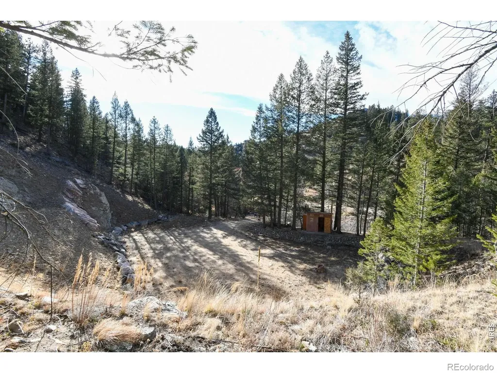 416 Black Creek Drive Glen Haven CO 80532