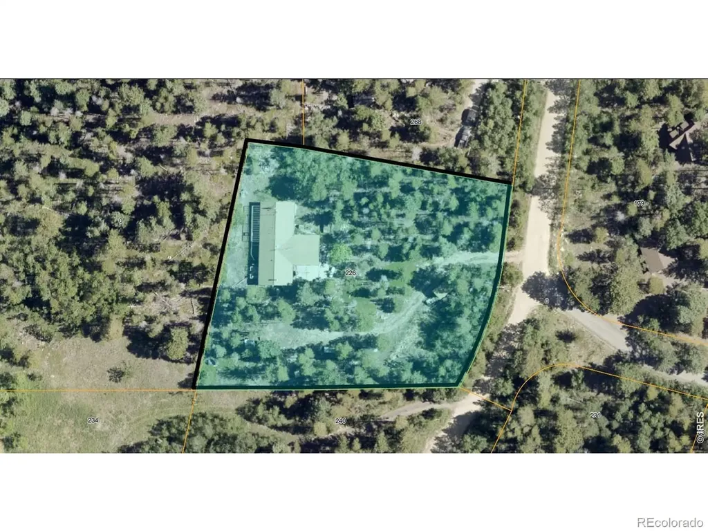 226 Pinon Way Nederland CO 80466