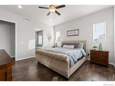 295 Redmond Drive Windsor CO 80550