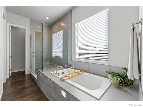 295 Redmond Drive Windsor CO 80550