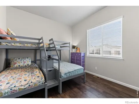 295 Redmond Drive Windsor CO 80550