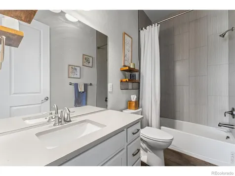 295 Redmond Drive Windsor CO 80550