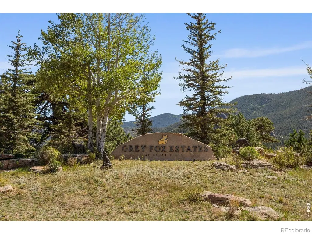 303 Green Pine Court Estes Park CO 80517