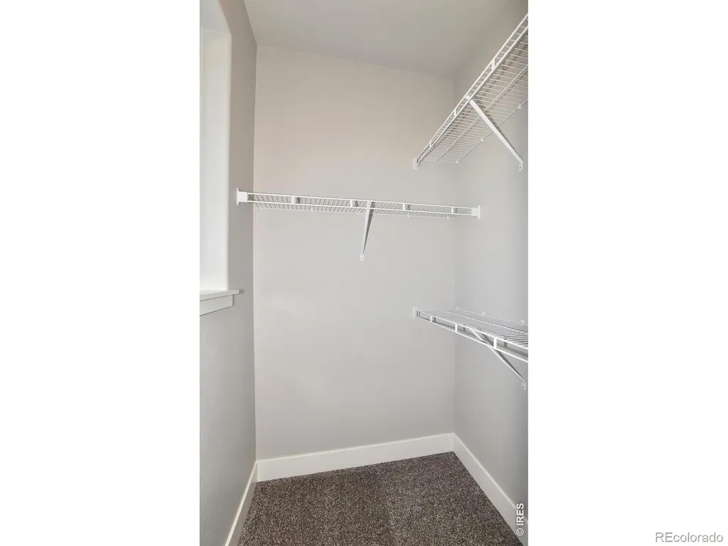 1196 Crown Sparrow Street Johnstown CO 80534
