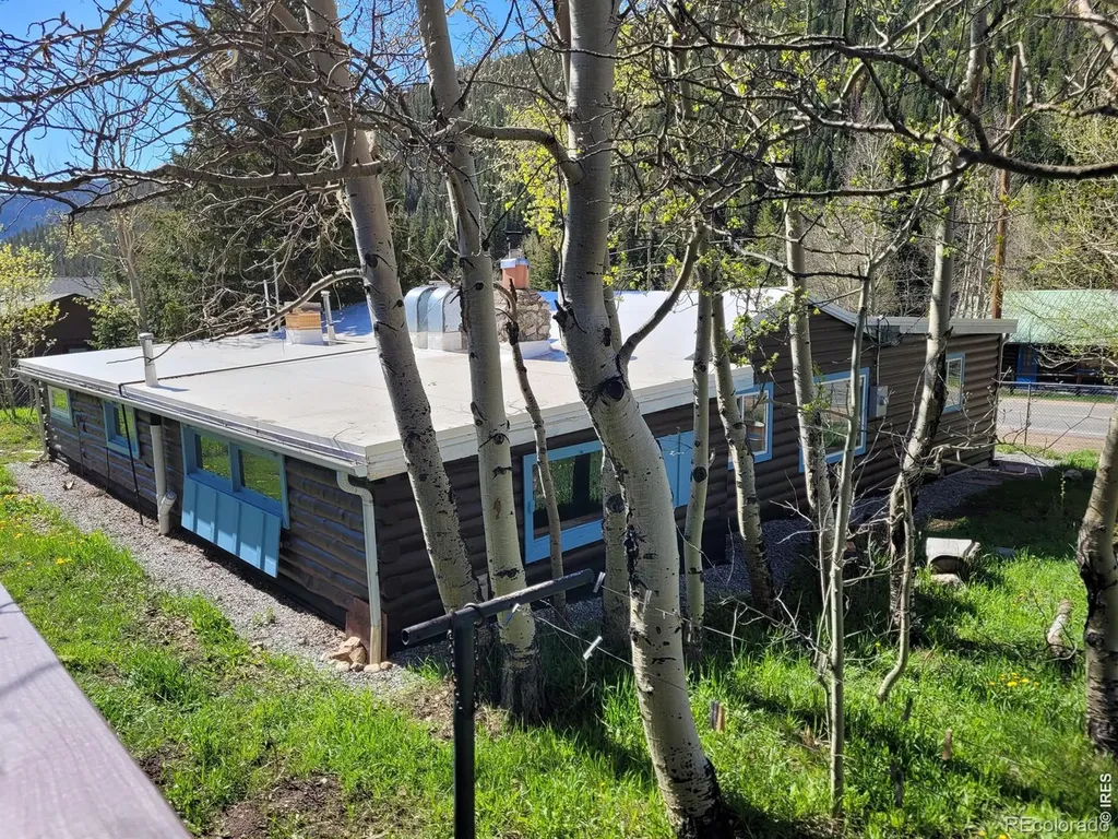 545 Eldorado Avenue Nederland CO 80466