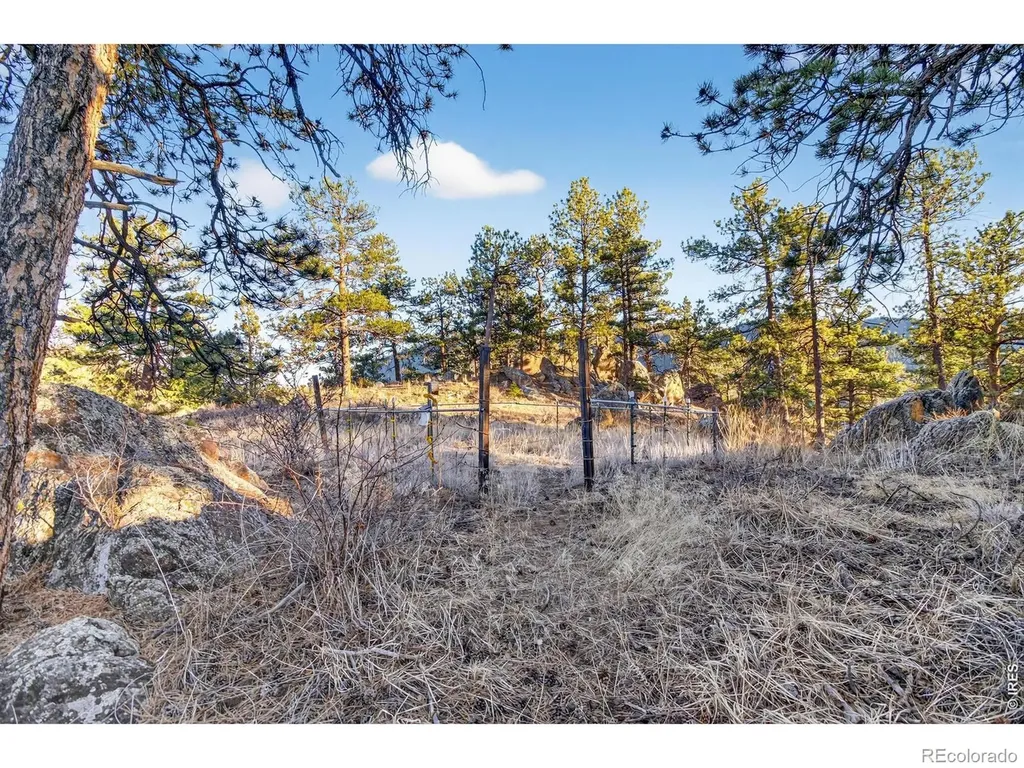 100 Snow Top Drive Drake CO 80515