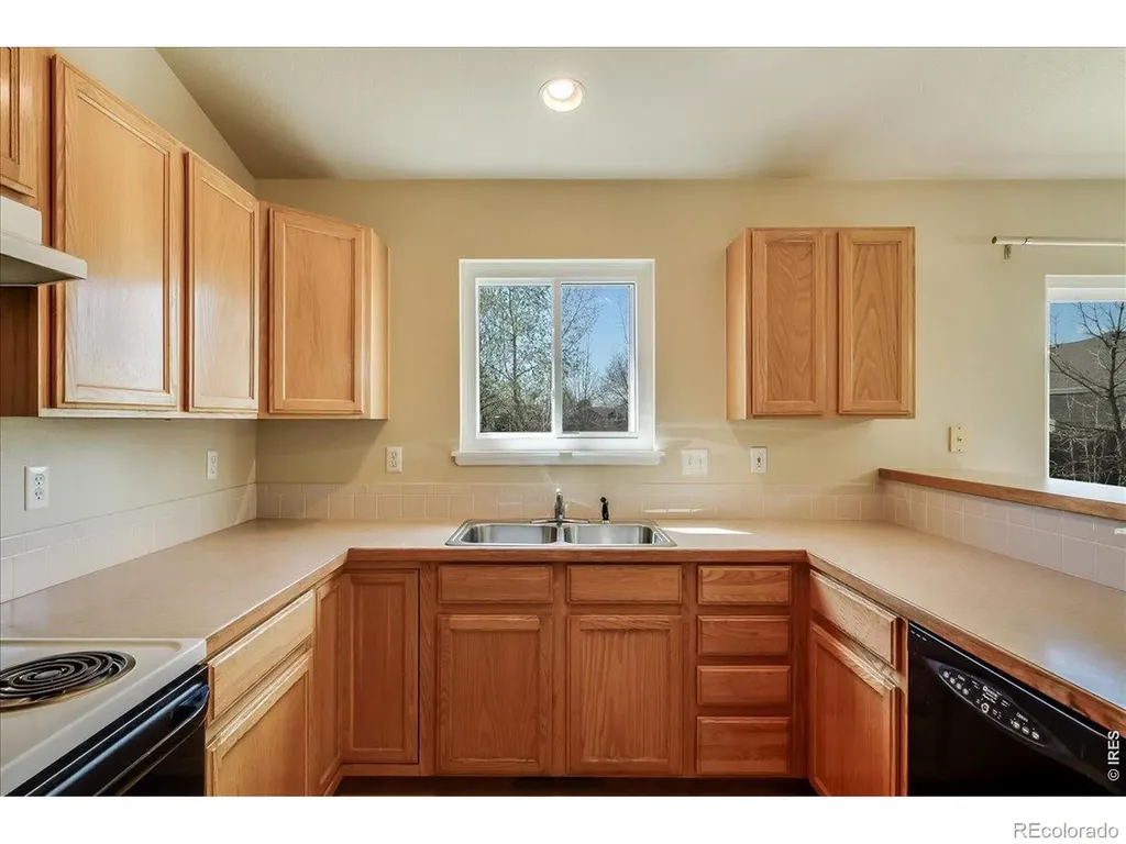 883 Emerald Drive Windsor CO 80550
