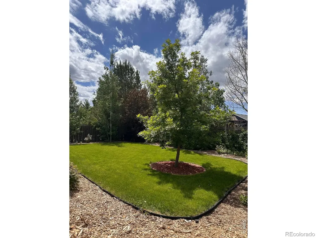 883 Emerald Drive Windsor CO 80550