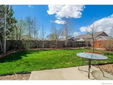 883 Emerald Drive Windsor CO 80550