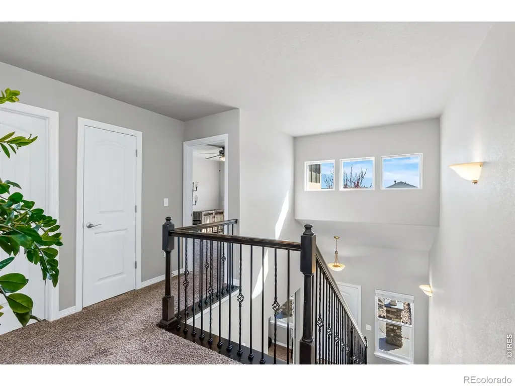 1828 Paley Drive Windsor CO 80550