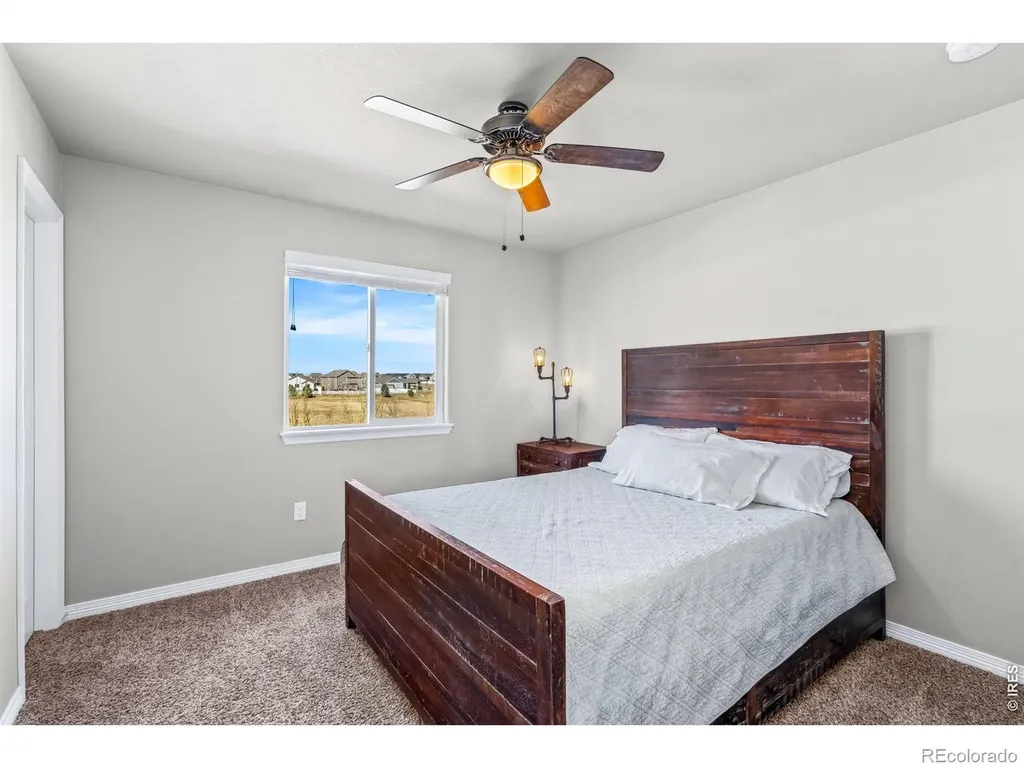 1828 Paley Drive Windsor CO 80550