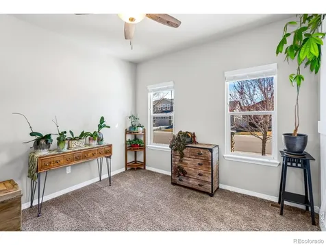 1828 Paley Drive Windsor CO 80550