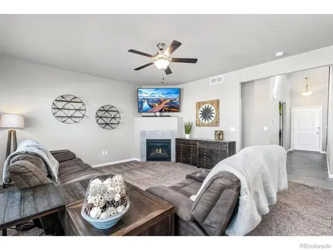 1828 Paley Drive Windsor CO 80550