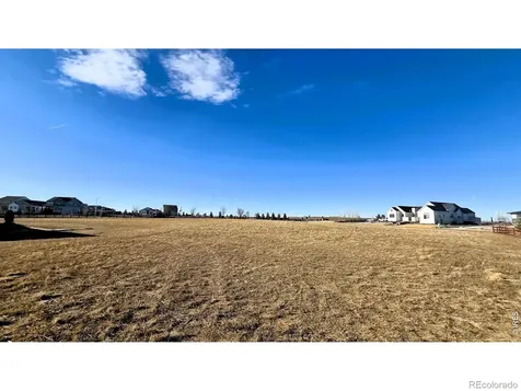 1508 Flowering Tree Court Windsor CO 80550