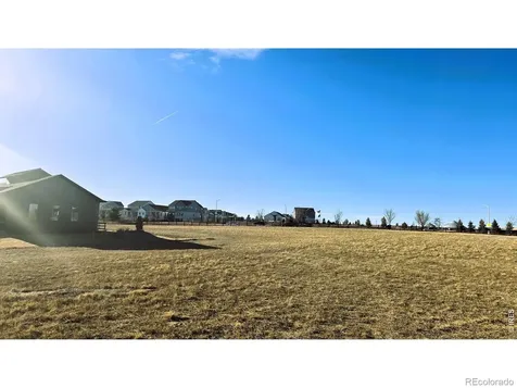 1508 Flowering Tree Court Windsor CO 80550