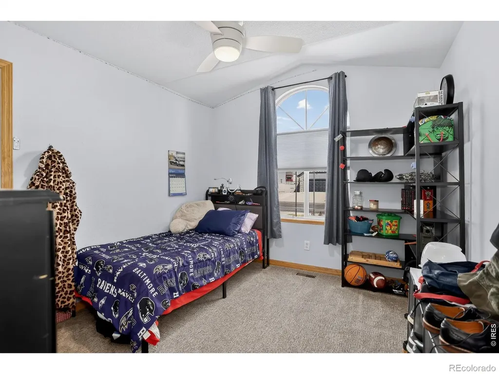 3387 Firewater Lane Wellington CO 80549